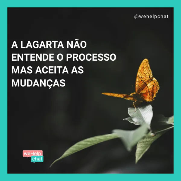 a lagarta nao entende o processo mas aceita as mudancas